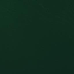 Satellite imagery of 1700610013, TZ