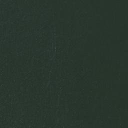 Satellite imagery of Nyangombe Point, TZ