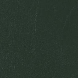 Satellite imagery of Nyangombe Point, TZ