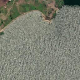 Satellite imagery of Hongo Point, TZ