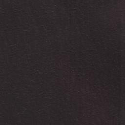 Satellite imagery of Susi Point, TZ