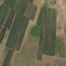 Satellite imagery of 1700610370, TZ