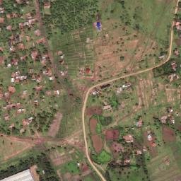 Satellite imagery of 1700610118, TZ