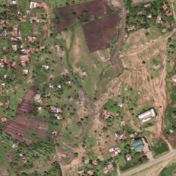 Satellite imagery of 1700610118, TZ