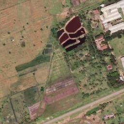 Satellite imagery of 1700610118, TZ