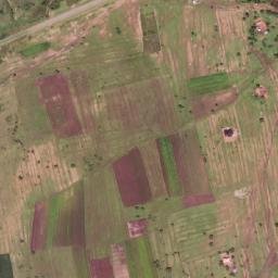 Satellite imagery of 1700610118, TZ