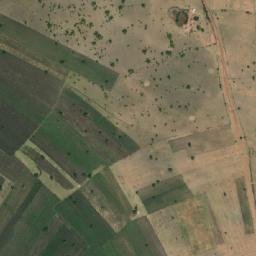 Satellite imagery of 1700610173, TZ