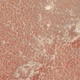 Satellite imagery of 1690610203, KE