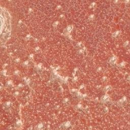 Satellite imagery of 1690610019, KE