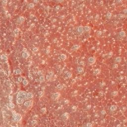 Satellite imagery of 1690610043, KE