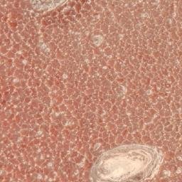 Satellite imagery of 1690610203, KE