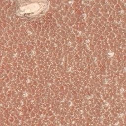 Satellite imagery of 1690610203, KE