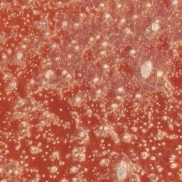 Satellite imagery of 1690610019, KE