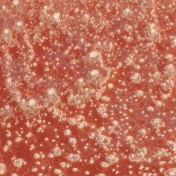 Satellite imagery of 1690610019, KE