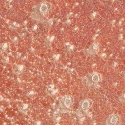 Satellite imagery of 1690610043, KE