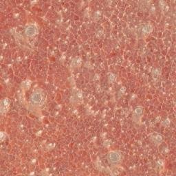 Satellite imagery of 1690610043, KE