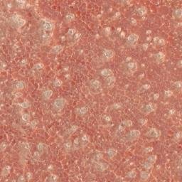 Satellite imagery of 1690610043, KE