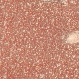 Satellite imagery of 1690610203, KE