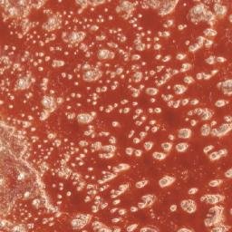 Satellite imagery of 1690610019, KE