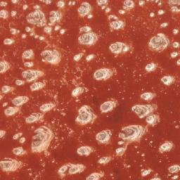 Satellite imagery of 1690610019, KE