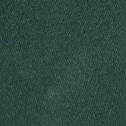 Satellite imagery of Bwina Point, TZ