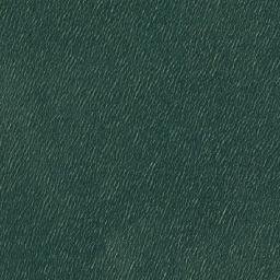 Satellite imagery of Bwina Point, TZ