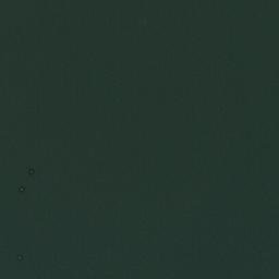 Satellite imagery of Nyasarara Point, TZ