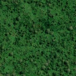 Satellite imagery of Cerro Yasún, EC