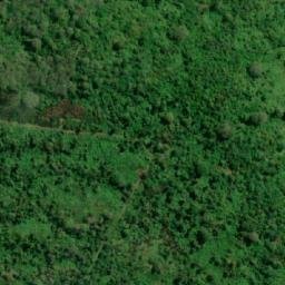 Satellite imagery of Cerro Yasún, EC