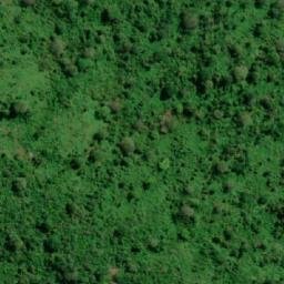 Satellite imagery of Cerro Yasún, EC