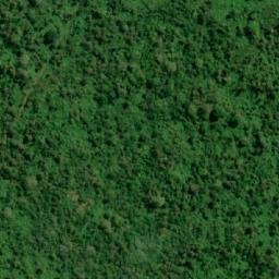 Satellite imagery of Cerro Yasún, EC