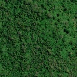 Satellite imagery of Cerro Yasún, EC
