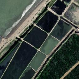 Satellite imagery of Punta Malpelo, PE
