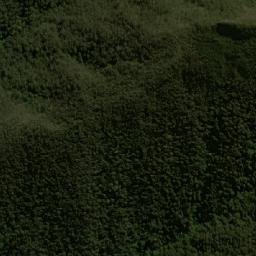 Satellite imagery of Tamboloma, EC
