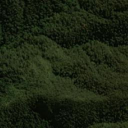 Satellite imagery of Tamboloma, EC
