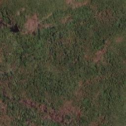 Satellite imagery of Serra do Algodão, BR