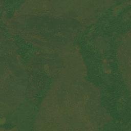 Satellite imagery of Mont Boukonzo, CG