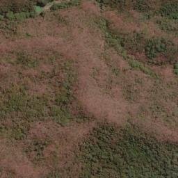Satellite imagery of Serra do Tamanduá, BR
