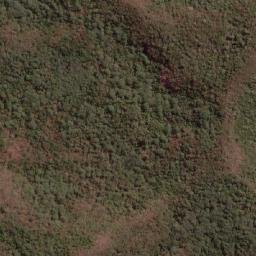 Satellite imagery of Serra do Tamanduá, BR