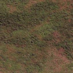 Satellite imagery of Serra do Cedro, BR