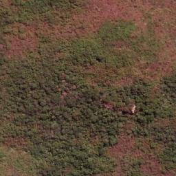 Satellite imagery of Serra do Cedro, BR