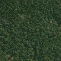 Satellite imagery of Tembo, CG