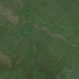 Satellite imagery of Djambala, CD