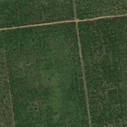 Satellite imagery of Borne XX, CG