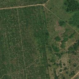 Satellite imagery of Borne XX, CG
