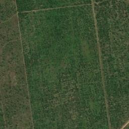 Satellite imagery of Borne XX, CG