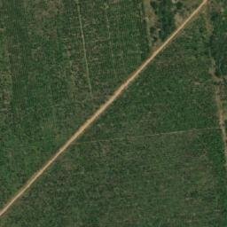 Satellite imagery of Borne XX, CG