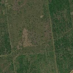 Satellite imagery of Borne XX, CG