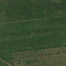 Satellite imagery of Borne XX, CG