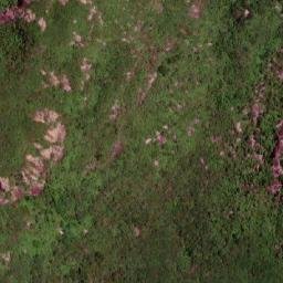 Satellite imagery of Serra dos Guaribas, BR